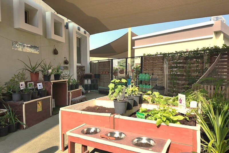 Sustainability in the Early Years | IDEA ELC Dubai